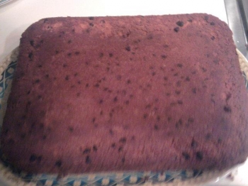 Torta allo yogurt con cacao e gocce di cioccolato